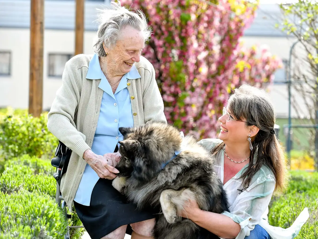 der Soziale Dienst besucht Bewohnerin mit einem Hund